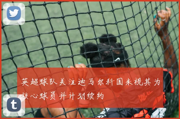 英超球队关注迪马尔科国米视其为核心球员并计划续约