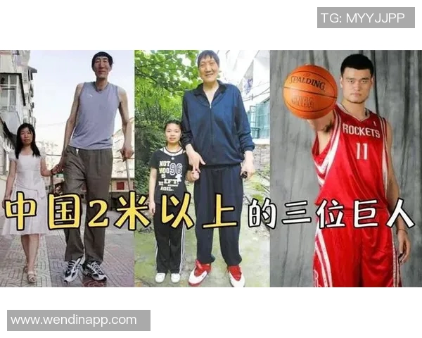 历史上身高2米26的巨人谁最强文班或成第一唯有姚明场均得分超十分 历史上身高2米26的巨人谁最强文班或成第一唯有姚明场均得分超十分