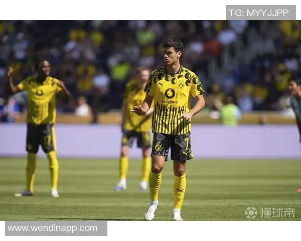 雷纳谈世界杯参赛希望：努力与新策略助我克服伤病挑战